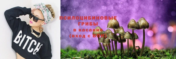 прущая мука Богородск