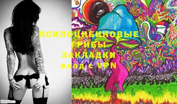 не бодяженный Богородицк