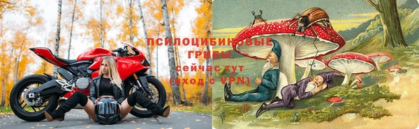 не бодяженный Богородицк