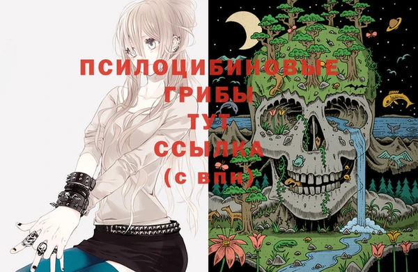 не бодяженный Богородицк