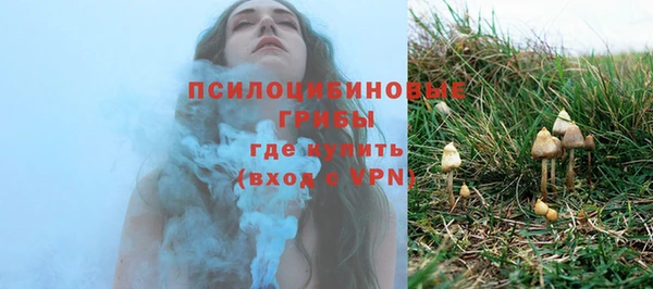прущая мука Богородск