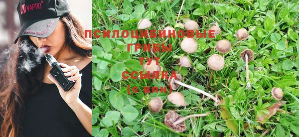 не бодяженный Богородицк