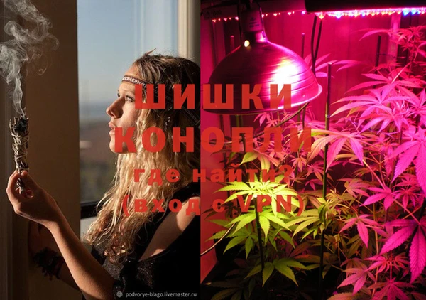 прущая мука Богородск
