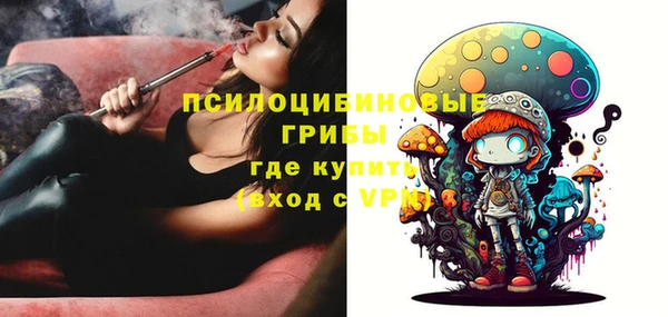 не бодяженный Богородицк